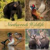 image Northwoods Wildlife 2025 Wall Calendar Main Product Image width=&quot;1000&quot; height=&quot;1000&quot;