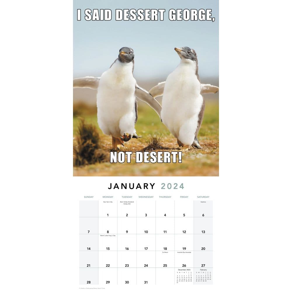 Animal Memes 2024 Wall Calendar Interior 3