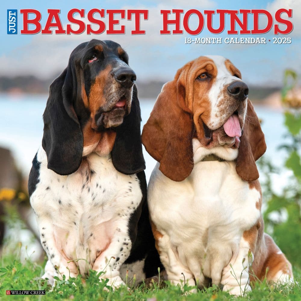 Just Basset Hounds 2025 Wall Calendar