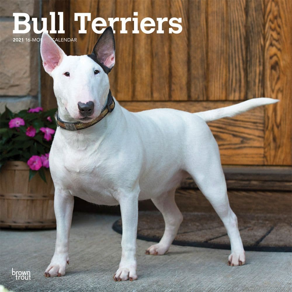 english bull terrier lego