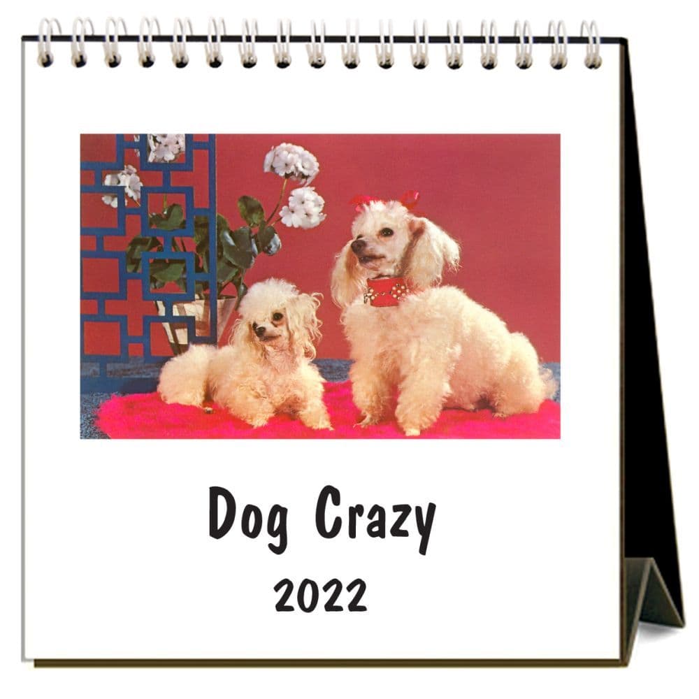 Dog Crazy 2022 Desk Calendar - Calendars.com