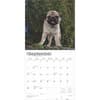 image Pug Puppies 2025 Wall Calendar Third Alternate Image