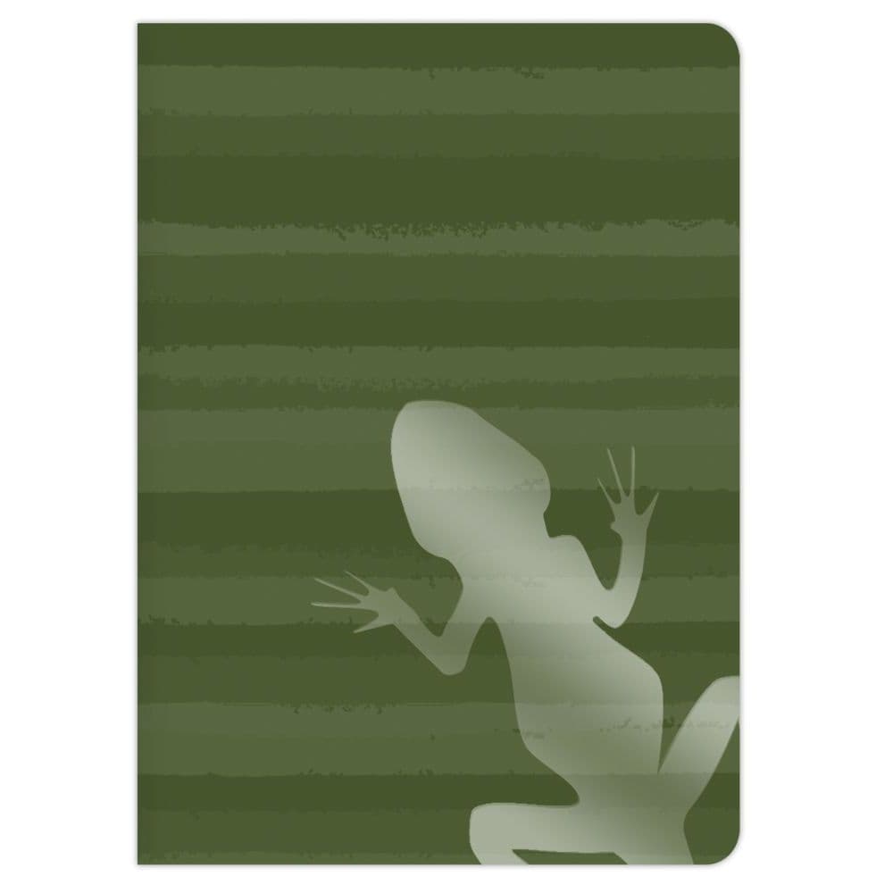 Here Lizard, Lizard 2 Pack Journal Set Alternate Image 3