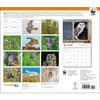 image Owls WWF 2025 Wall Calendar First Alternate Image width=&quot;1000&quot; height=&quot;1000&quot;