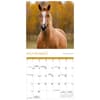 image Horses Special Value 2026 Mini Wall Calendar Fourth Alternate Image