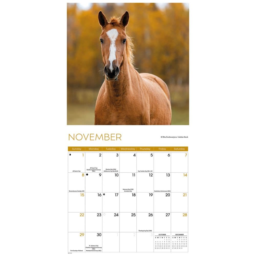 Horses Special Value 2026 Mini Wall Calendar Fourth Alternate Image
