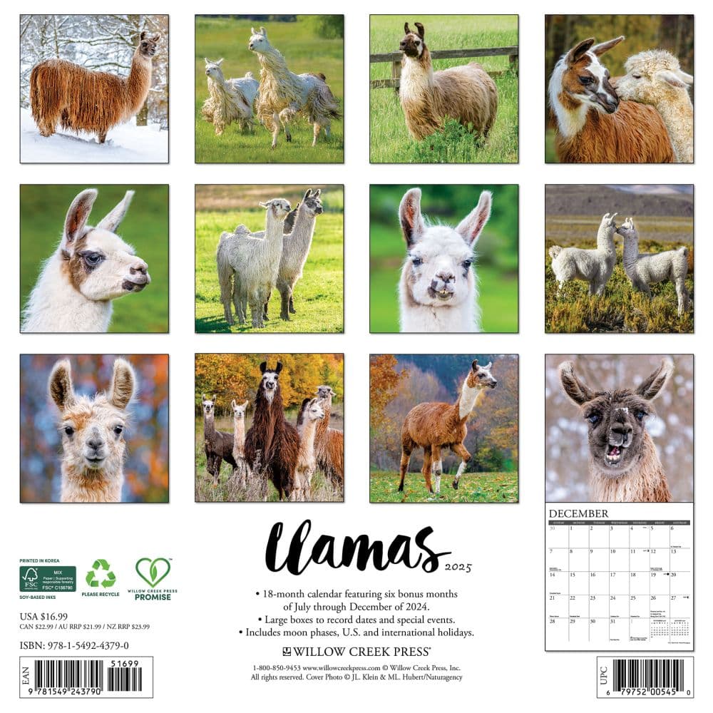Llamas 2025 Wall Calendar First Alternate Image width=&quot;1000&quot; height=&quot;1000&quot;