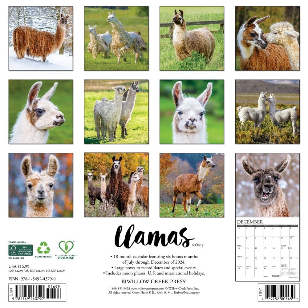 Llamas 2025 Wall Calendar First Alternate Image width="1000" height="1000"