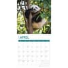 image Baby Pandas 2025 Wall Calendar Second Alternate Image width="1000" height="1000"