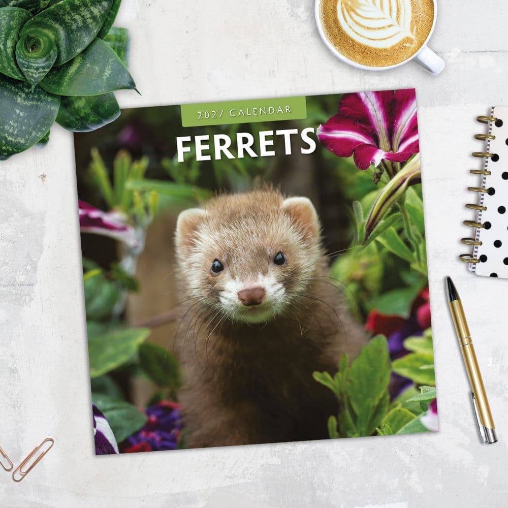 Ferrets 2027 Wall Calendar Fourth Alternate Image