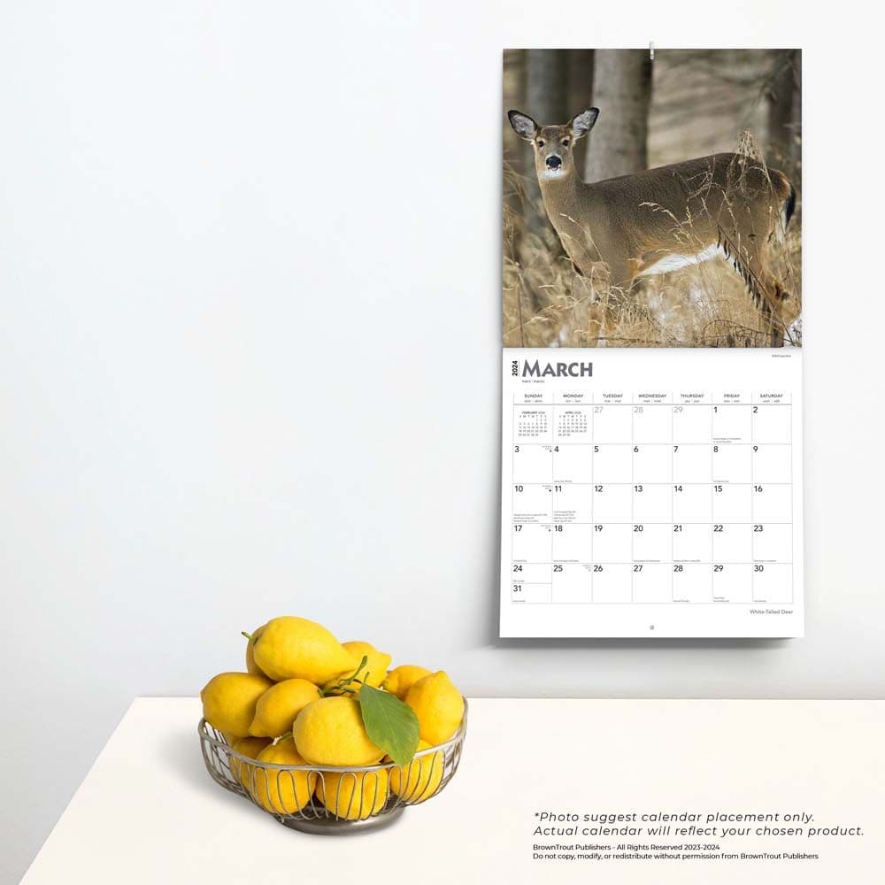 White Tailed Deer 2024 Wall Calendar Third Alternate Image width=&quot;1000&quot; height=&quot;1000&quot;