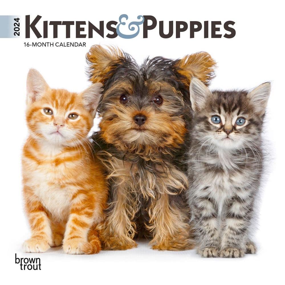 Kittens &amp; Puppies 2024 Mini Wall Calendar Main Product Image width=&quot;1000&quot; height=&quot;1000&quot;