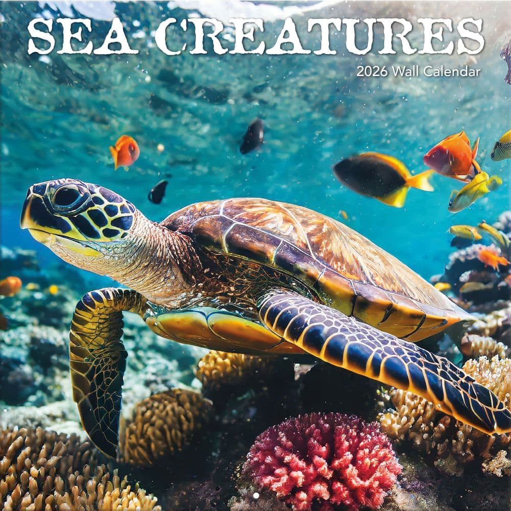 Sea Creatures 2026 Wall Calendar_Main Image