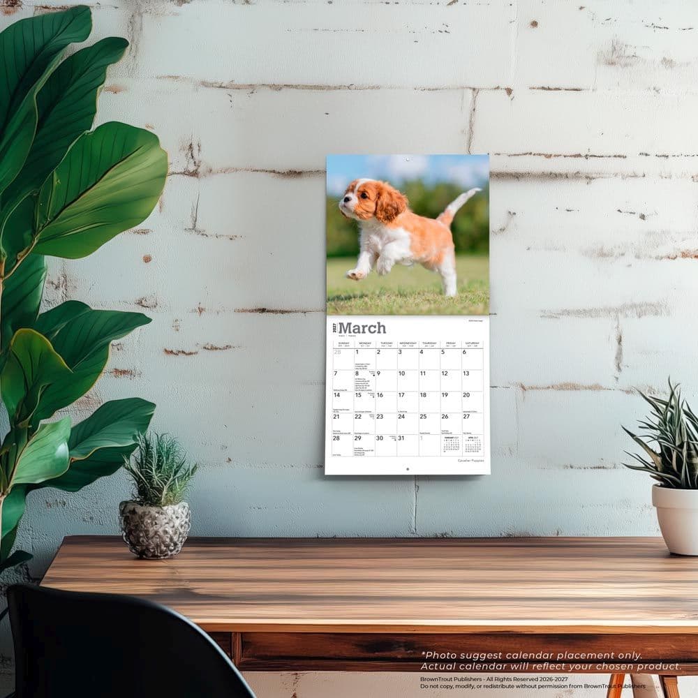 Cavalier King Charles Puppies 2027 Mini Wall Calendar Fourth Alternate Image
