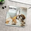 image Shih Tzu 2025 Wall Calendar Fourth Alternate Image