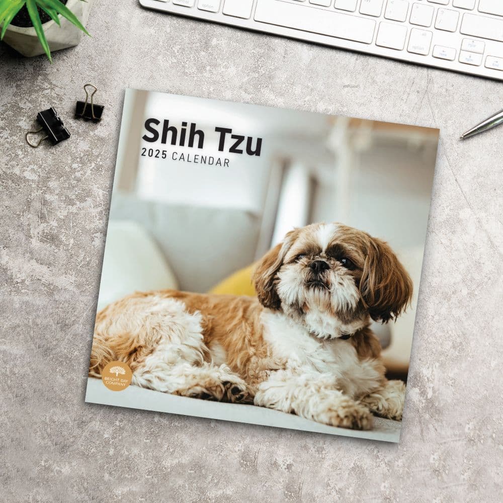 Shih Tzu 2025 Wall Calendar Fourth Alternate Image
