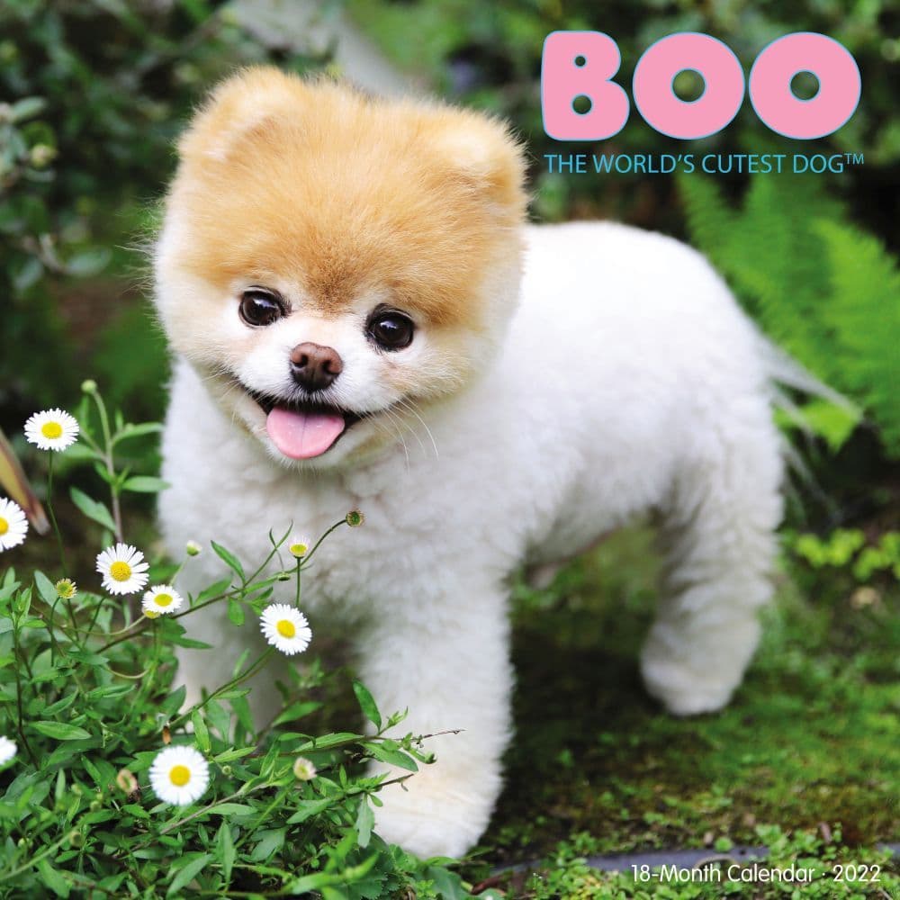 Boo 2022 Wall Calendar - Calendars.com