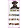 image 365 Puppies-A-Year Picture-A-Day 2027 Wall Calendar Fourth Alternate Image
