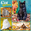 image Cat Lovers 2025 Wall Calendar  Main Image