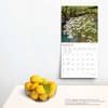 image Arkansas Wild and Scenic 2024 Wall Calendar Third Alternate  Image width=&quot;1000&quot; height=&quot;1000&quot;