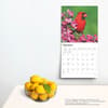 image Cardinals 2025 Wall Calendar