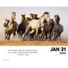 image What Horses Teach Us 2025 Desk Calendar Second Alternate Image