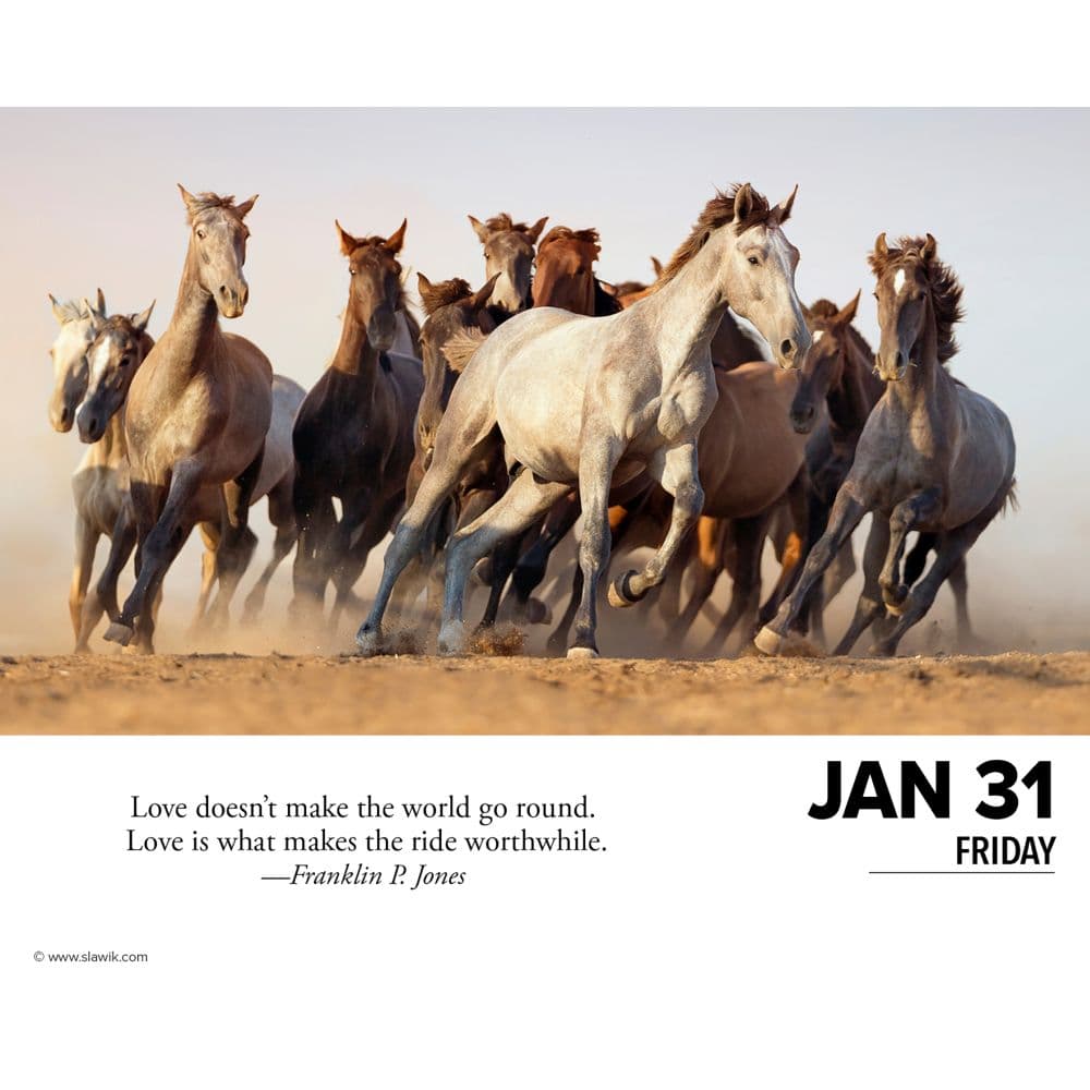 What Horses Teach Us 2025 Desk Calendar interior