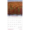 image Point of Light 2026 Wall Calendar