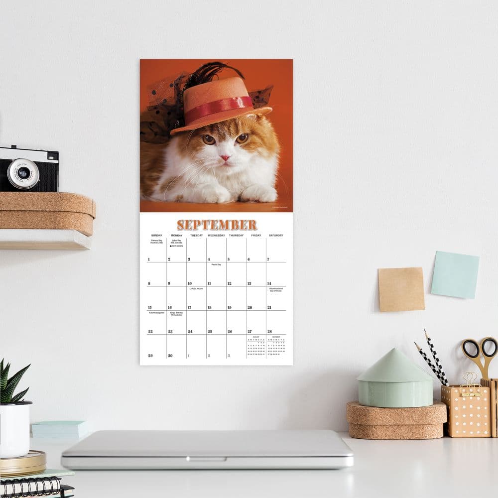 Cats in Hats 2024 Mini Wall Calendar Alternate Image 4