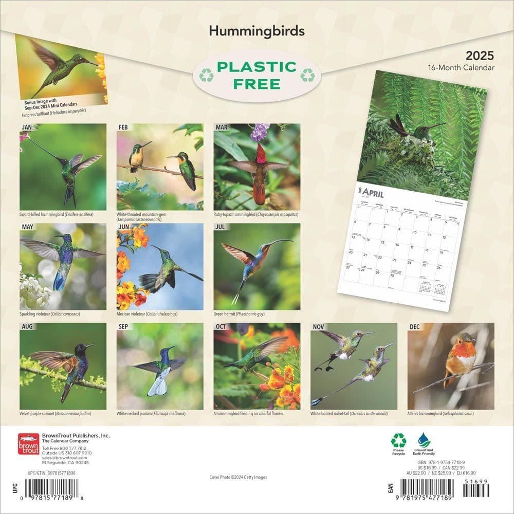 Hummingbirds 2025 Wall Calendar First Alternate Image