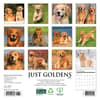 image Just Goldens 2026 Mini Wall Calendar First Alternate Image