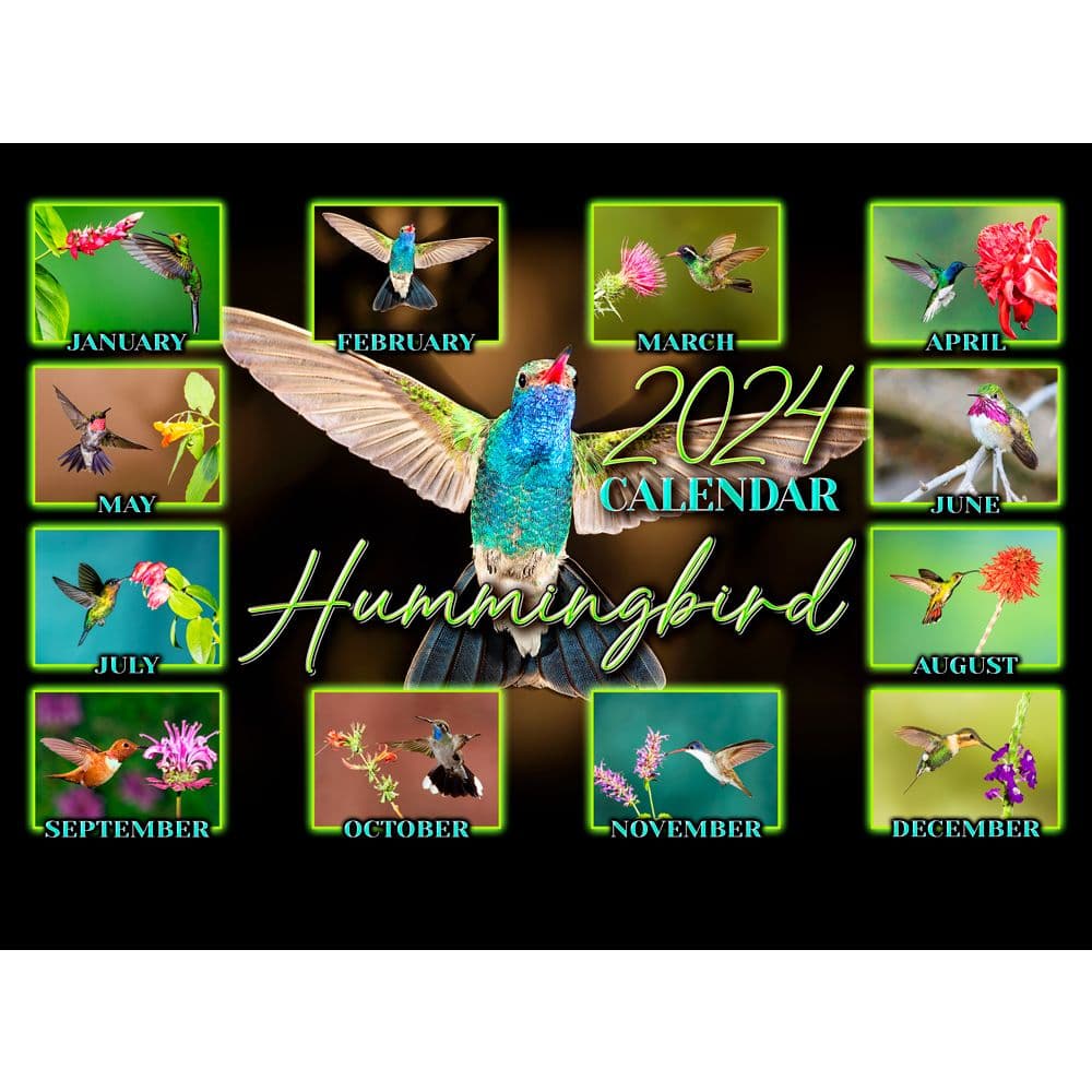 Hummingbird 2024 Wall Calendar First Alternate