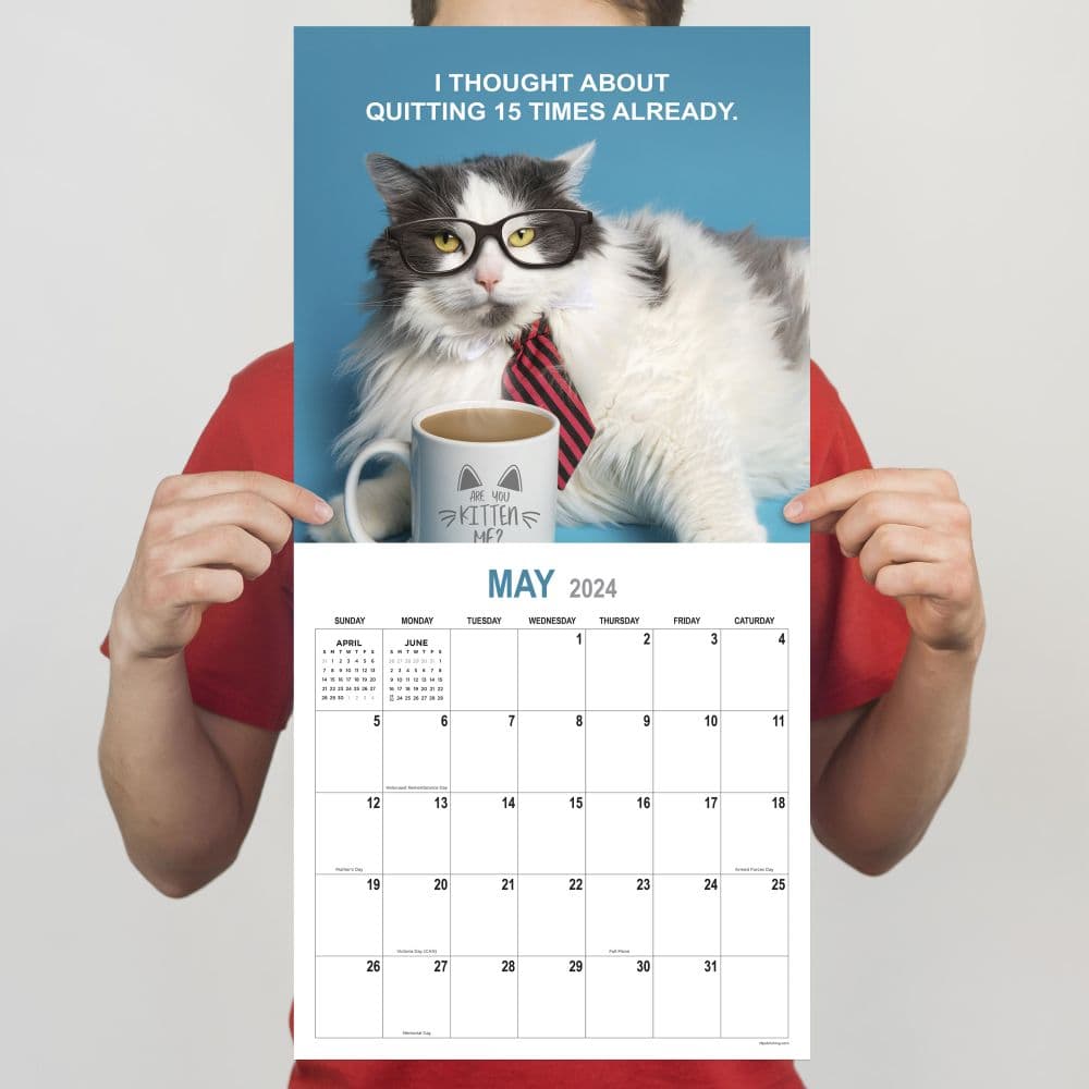 Corporate Cats 2024 Wall Calendar Fourth Alternate Image width="1000" height="1000"