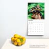 image Snakes 2024 Wall Calendar Third Alternate Image width=&quot;1000&quot; height=&quot;1000&quot;