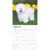 image Bichon Frise 2025 Wall Calendar First Alternate Image width=&quot;1000&quot; height=&quot;1000&quot;