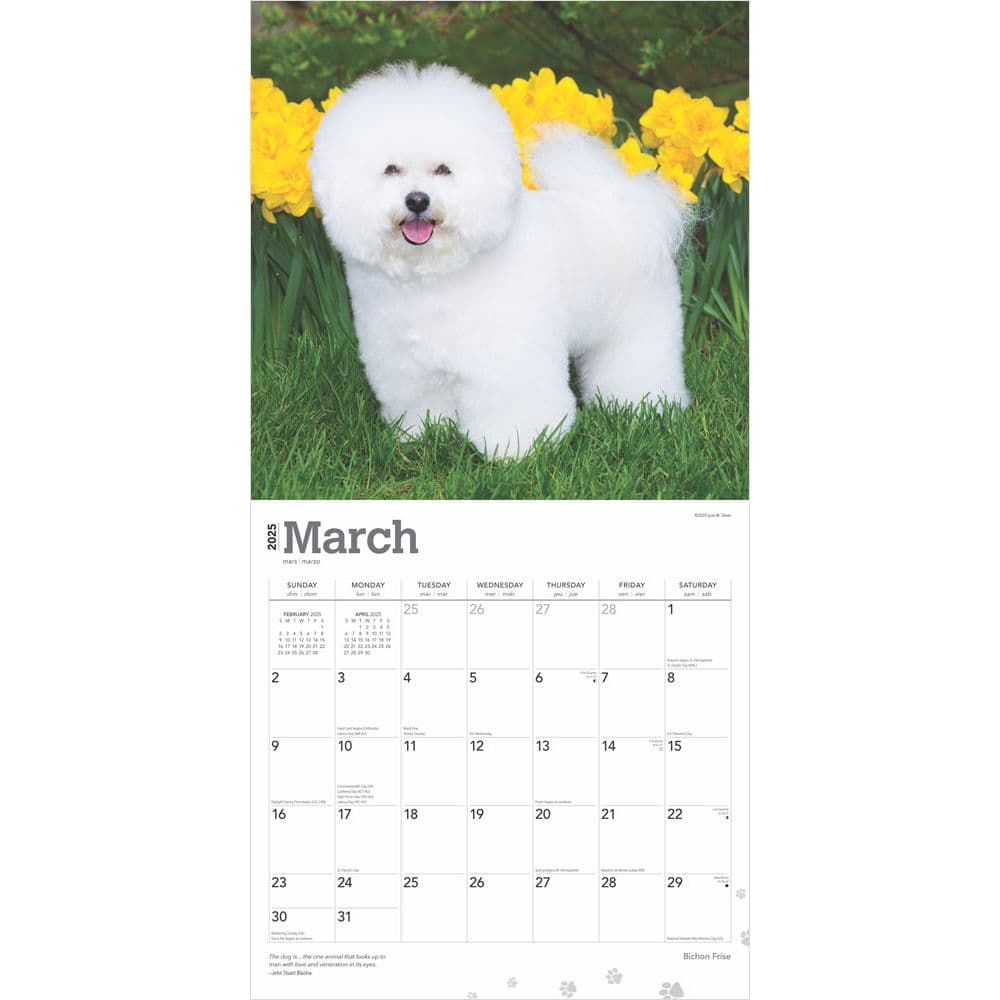 Bichon Frise 2025 Wall Calendar First Alternate Image width=&quot;1000&quot; height=&quot;1000&quot;