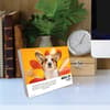 image What Dogs Teach Us 2025 Desk Calendar Third Alternate Image