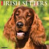 image Irish Setters Just 2025 Wall Calendar Main Image