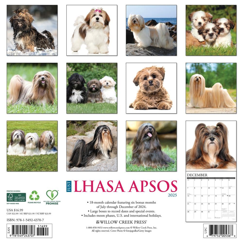 Lhasa Apsos 2025 Wall Calendar First Alternate Image width="1000" height="1000"