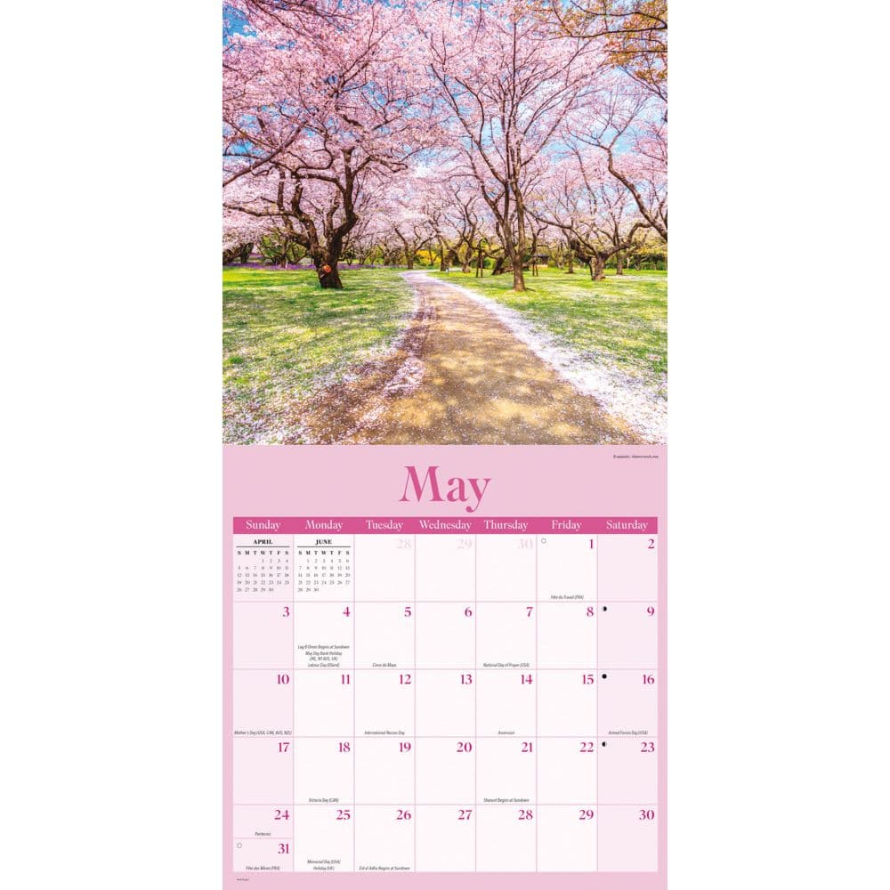 Paths to God 2026 Wall Calendar Third Alternate Image