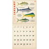 image Fishing Illustrations 2025 Wall Calendar