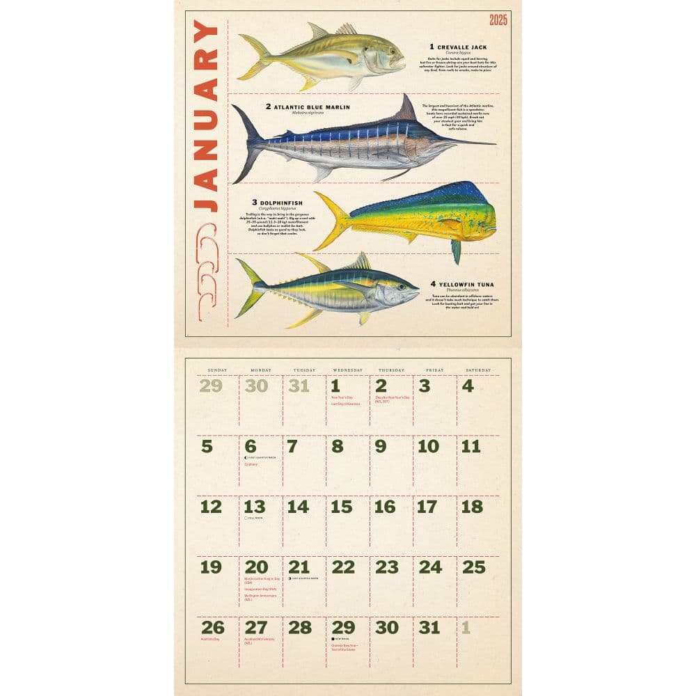 Fishing Illustrations 2025 Wall Calendar