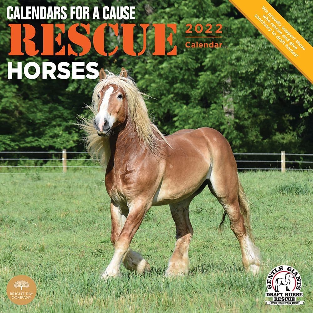 Rescue Horses 2022 Wall Calendar