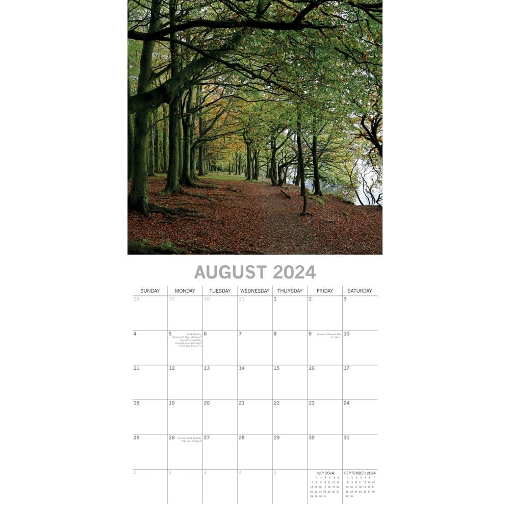 Woodland 2024 Wall Calendar