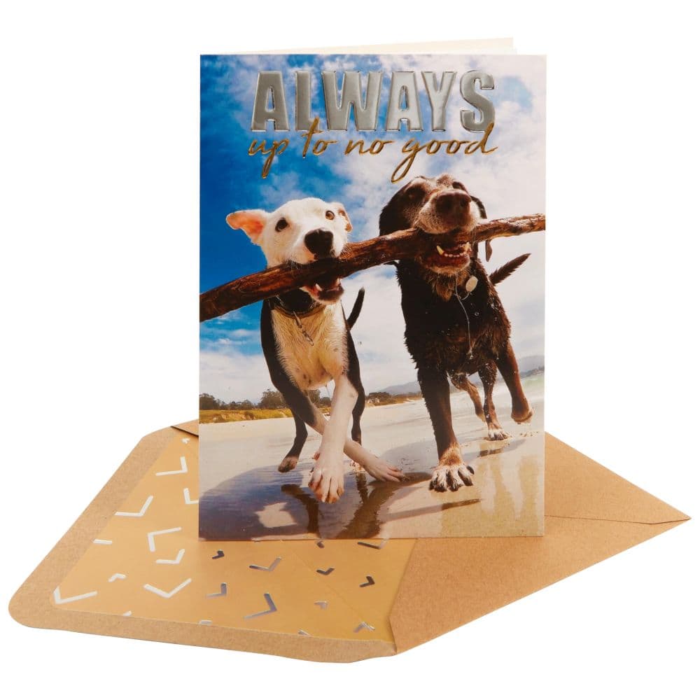 Two Dogs on Beach Friendship Card Sixth Alternate Image width=&quot;1000&quot; height=&quot;1000&quot;