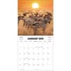 image African Safari 2025 Wall Calendar