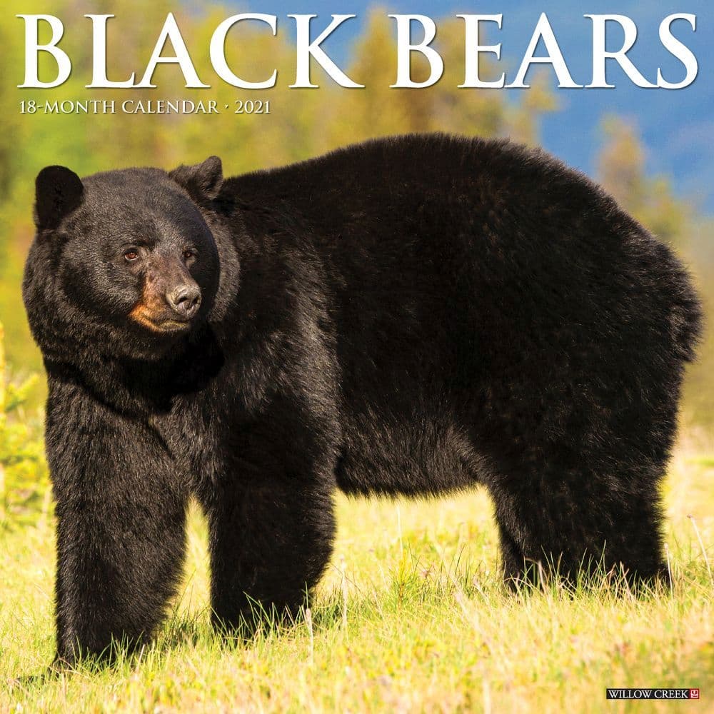 Black Bears Wall Calendar