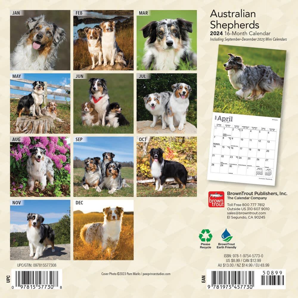 Australian Shepherd 2024 Mini Wall Calendar First Alternate Image width=&quot;1000&quot; height=&quot;1000&quot;