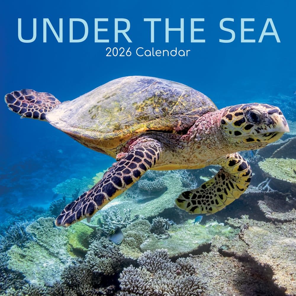 Under the Sea 2026 Wall Calendar  Main Image