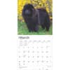 image Chow Chows 2025 Wall Calendar